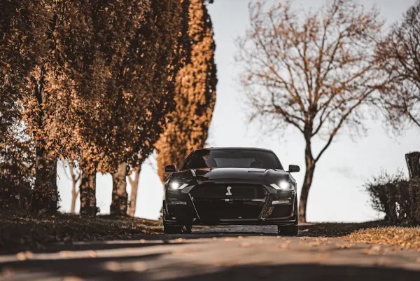 SuperNopea Kasino Apl Android/iOS